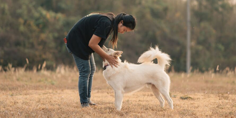 Woman pending down to pet dog