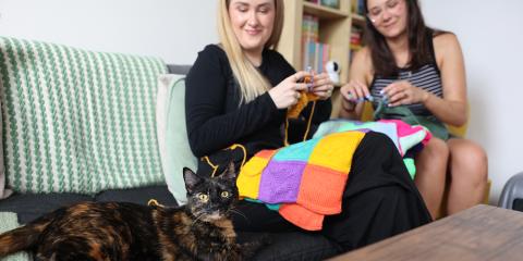Two people crocheting and a cat sitting with them