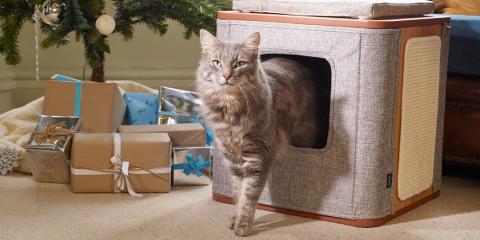 Cat standing with presents under a Christmas tree