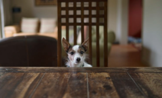 Search for news and stories