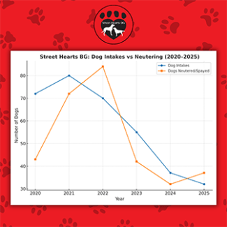 Street hearts BG dog intake vs neutering graph for 2020-2025 