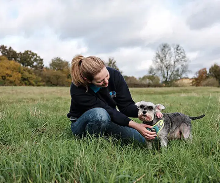 Caring for your pet when you're gone