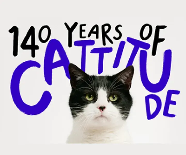 140 Years of Cattitude