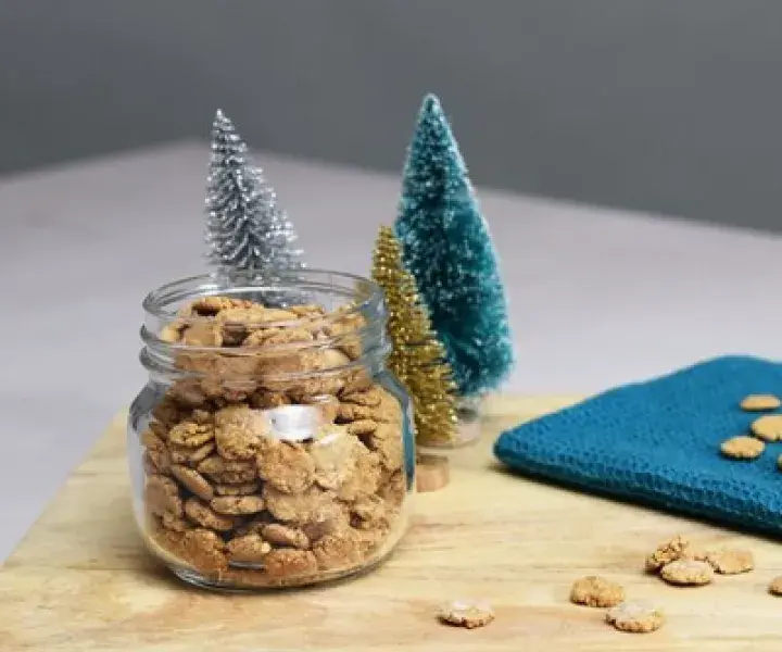 Christmas Cats Treats