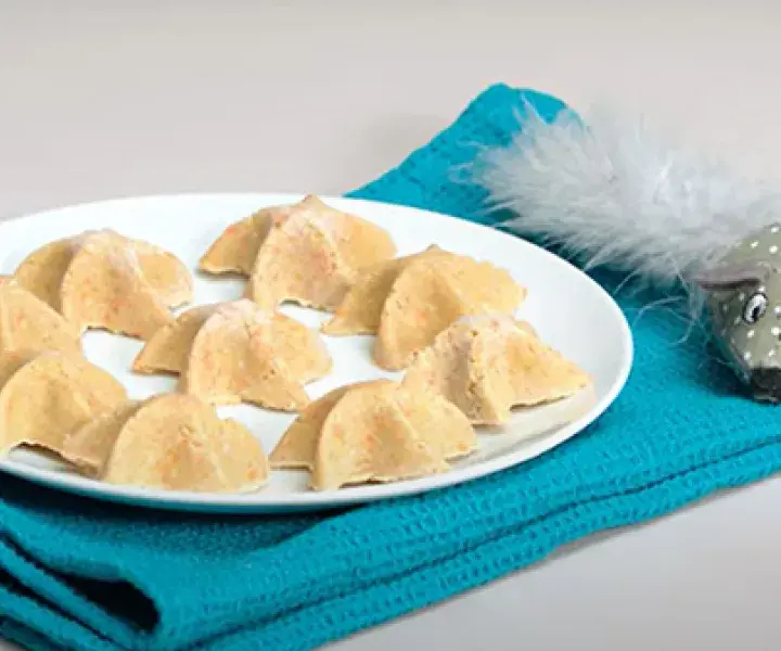Frozen cat treats