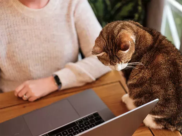 Sign up for news on our latest campaigns