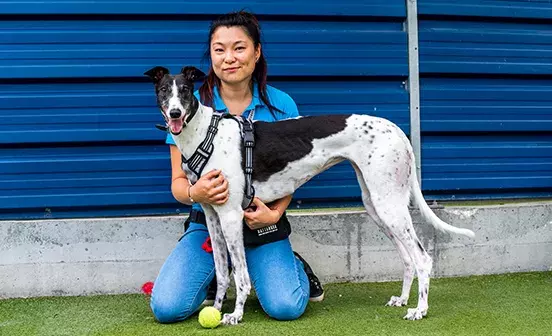 Volunteering at Battersea