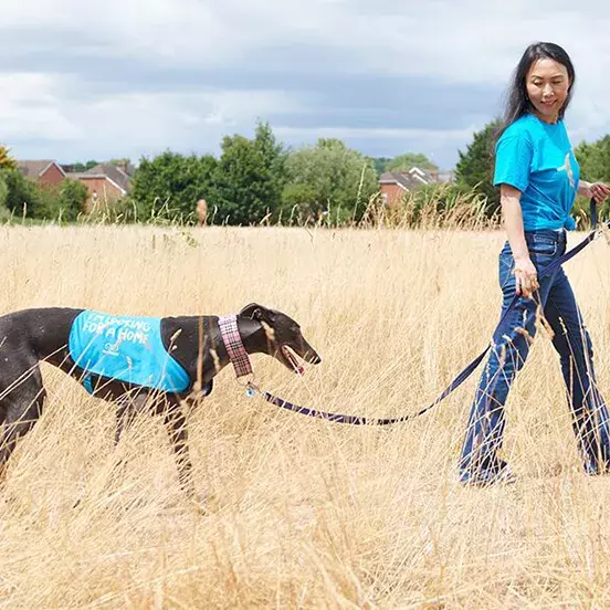 Battersea Communities