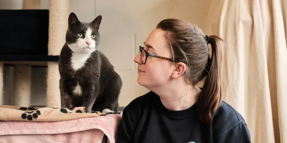 Cats in our care