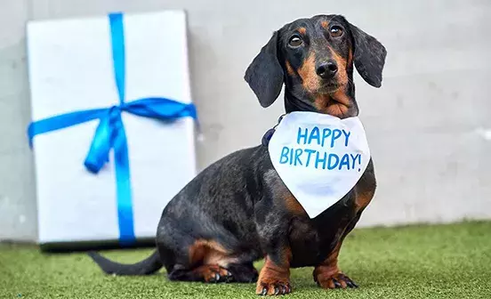 Give in celebration