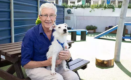 Pogdogs