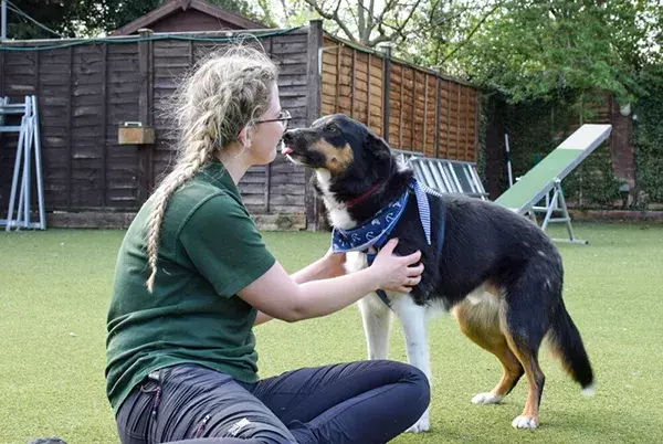 Cheltenham Animal Sanctuary 