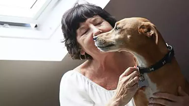 Why the Kept Animals Bill matters