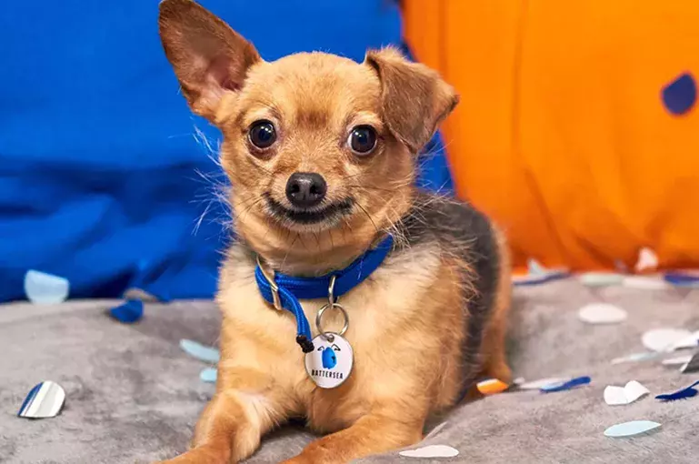 SLIDE - Fundraise Your Way