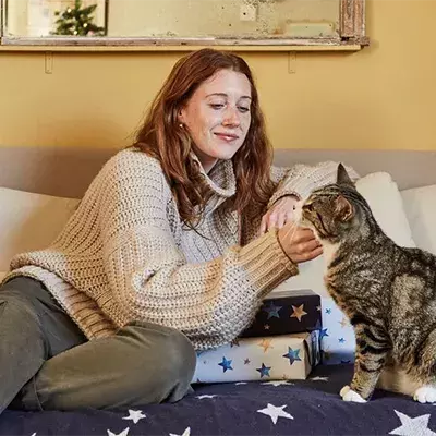 How to stroke a cat and interact with them