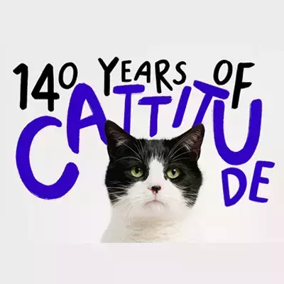 140 Years of Cattitude