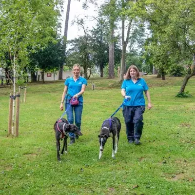 Build your dog’s confidence around strangers outdoors