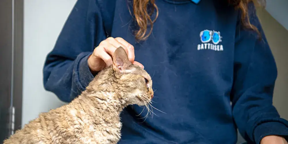 Leave it with us