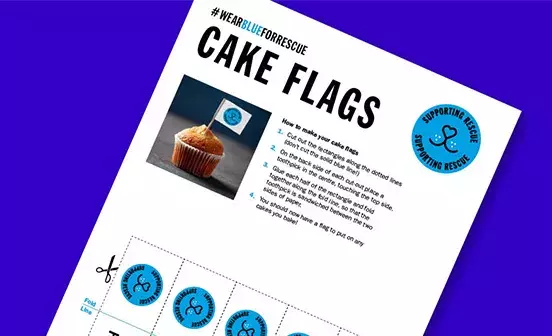 Wear Blue for Rescue Cupcake Flags