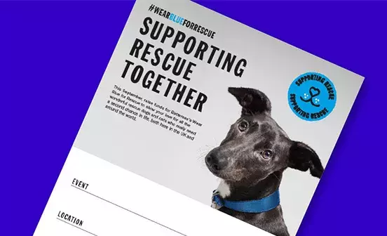 Wear Blue for Rescue Event Poster
