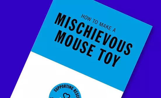 Wear Blue for Rescue Mouse Toy