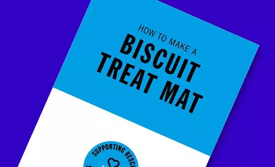 Wear Blue for Rescue Biscuit Treat Mat