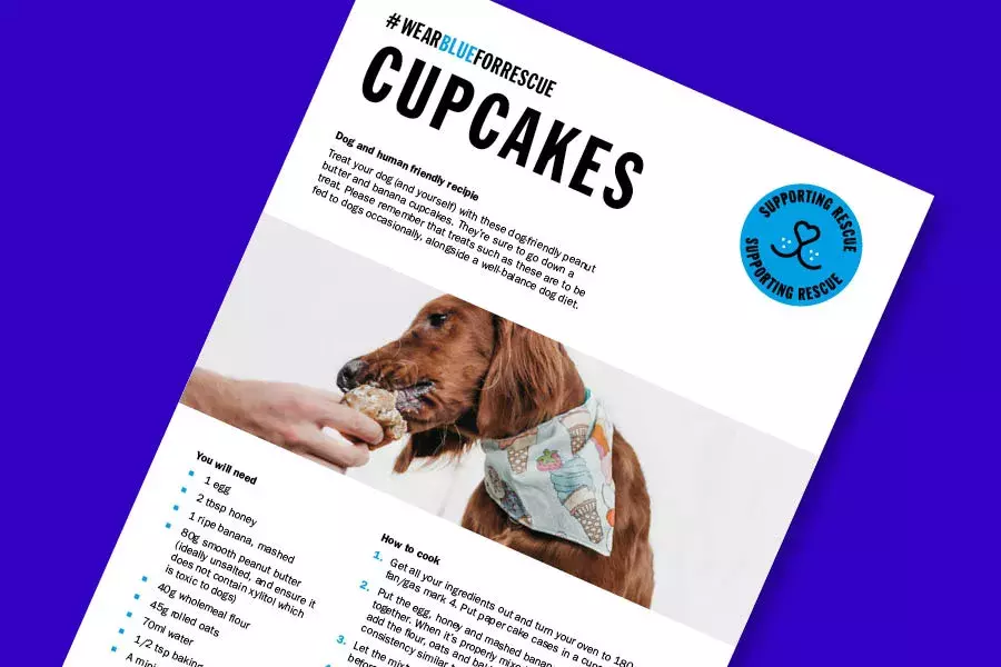 Wear Blue for Rescue Cupcakes