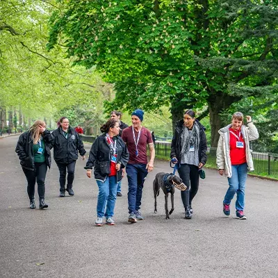 Greyhound Welfare Academy Residential Week