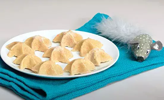 Frozen cat treats