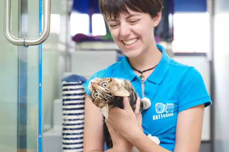 Battersea employee with kitten in their arms 