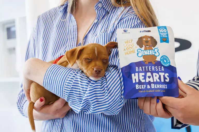A sleeping puppy sleeping in the arms of a person next to a bag of treats