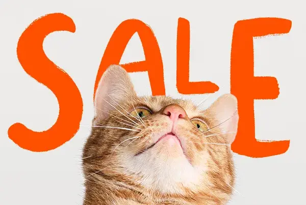 Ginger cat with the word "sale" behind them 