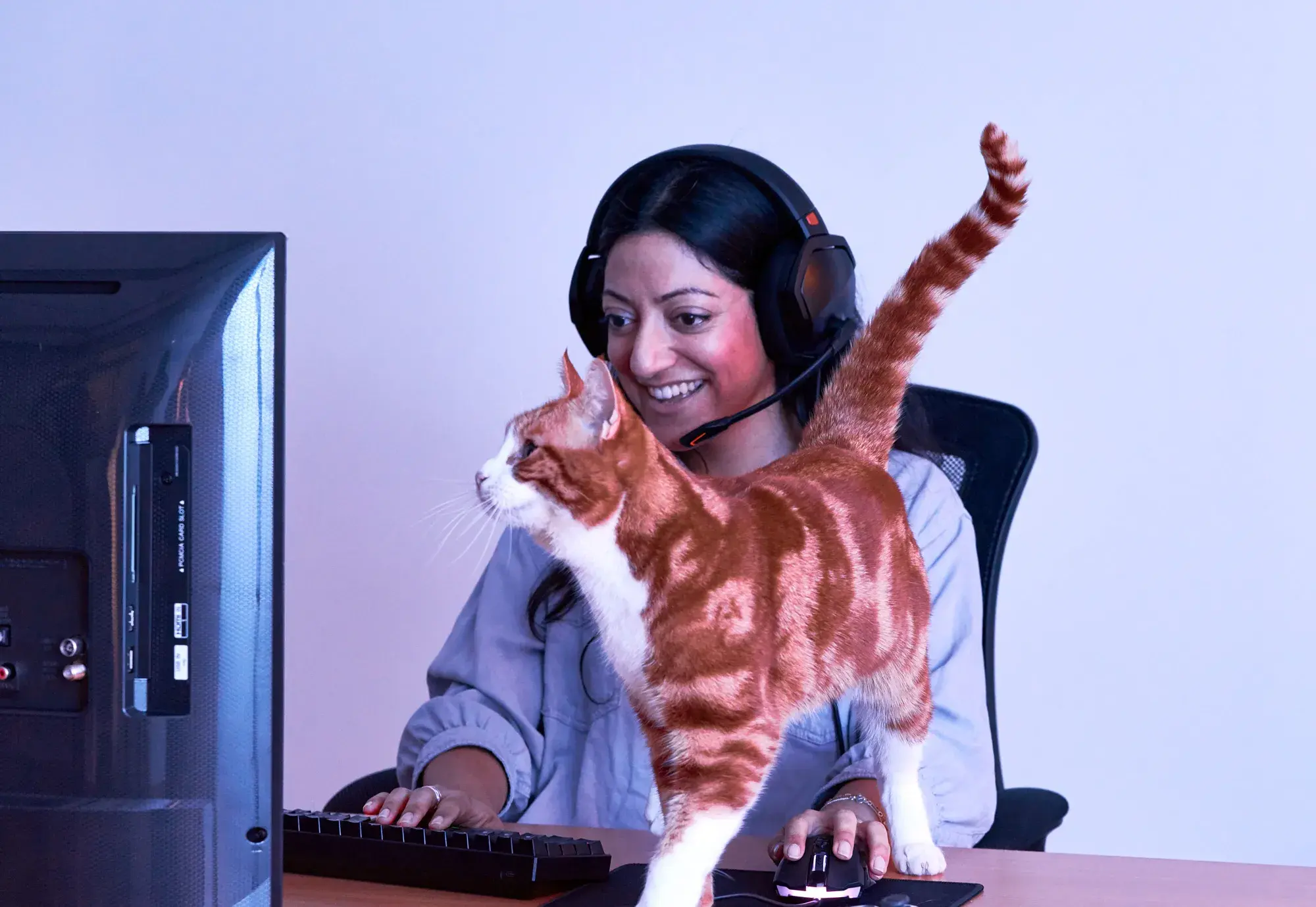 A person gaming on a pc with their cat walking on the desk