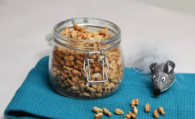Small jar of homemade cat treats laid on a tea towel next to a small toy mouse