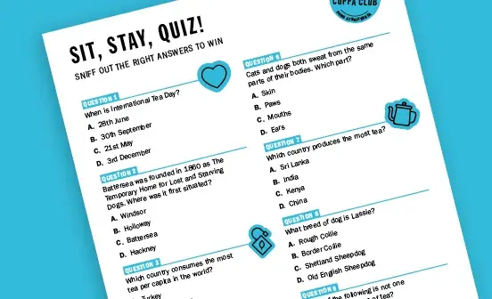 Sit, stay, quiz game