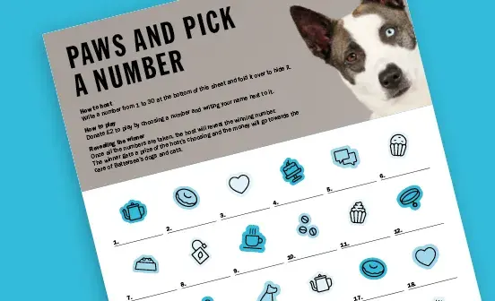 A paws and pick a number document