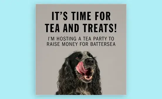 It's time for tea and treats! I'm hosting a cuppa club event for Battersea, dog licking it's lips