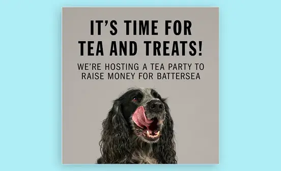 It's time for tea and treats! We're hosting a cuppa club event for Battersea, dog licking it's lips