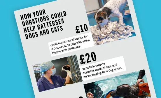 A donation poster