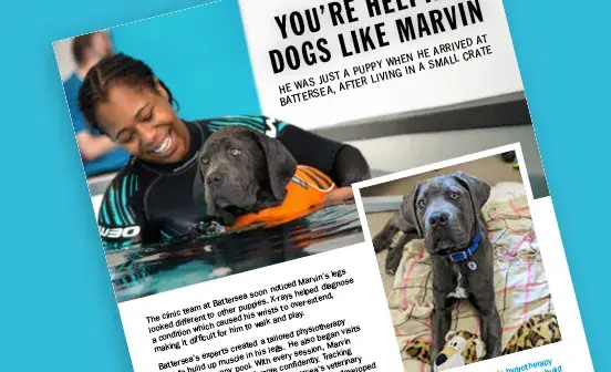A Battersea case study