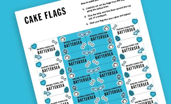 Cake flag decorations