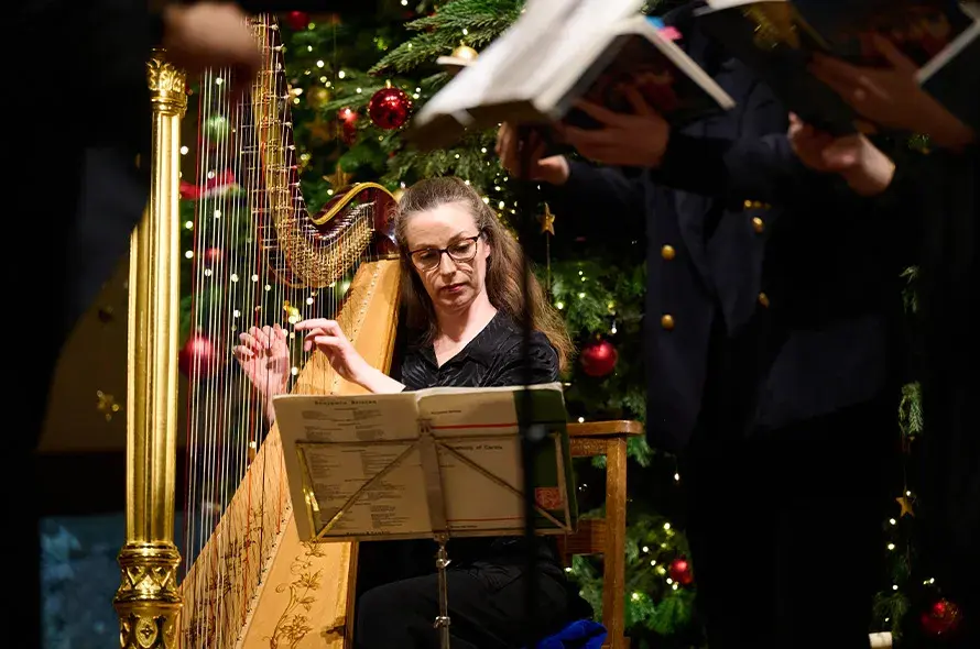 Person playing the harp