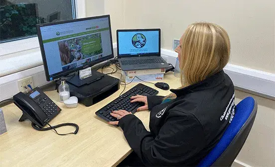 A woman sitting at a desk, using a computer and a laptop, surrounded by office supplies.