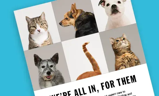 Canine Cuppa Club Download - All In For Them