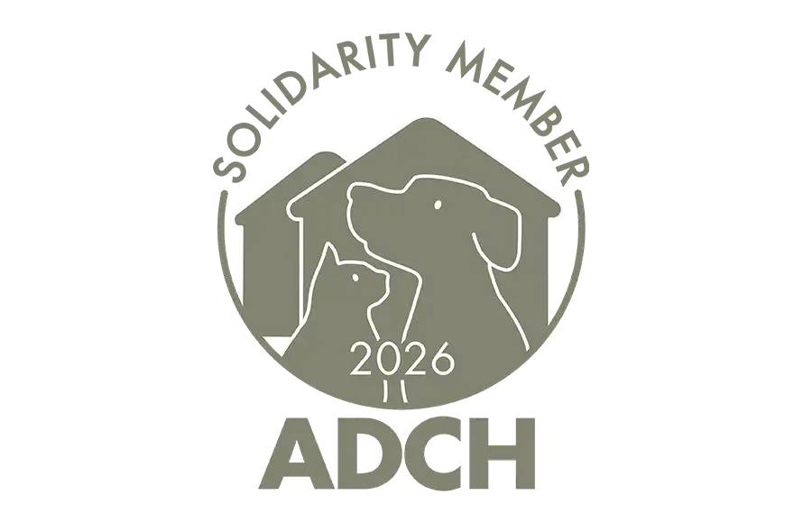 ADCH Membership logo for 2026 in full colour (grey)