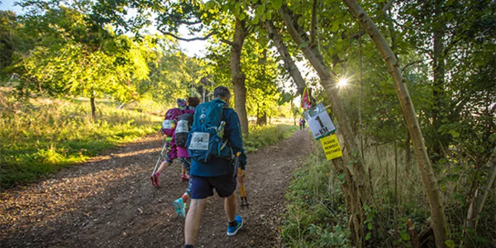 Two people trekking along a path