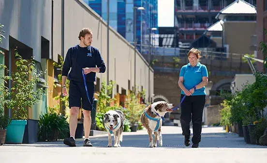 Canine Rehoming and Welfare Team