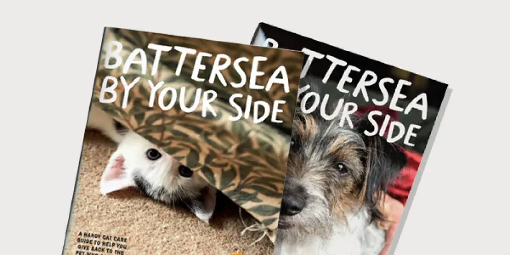 Get your free pet care guide