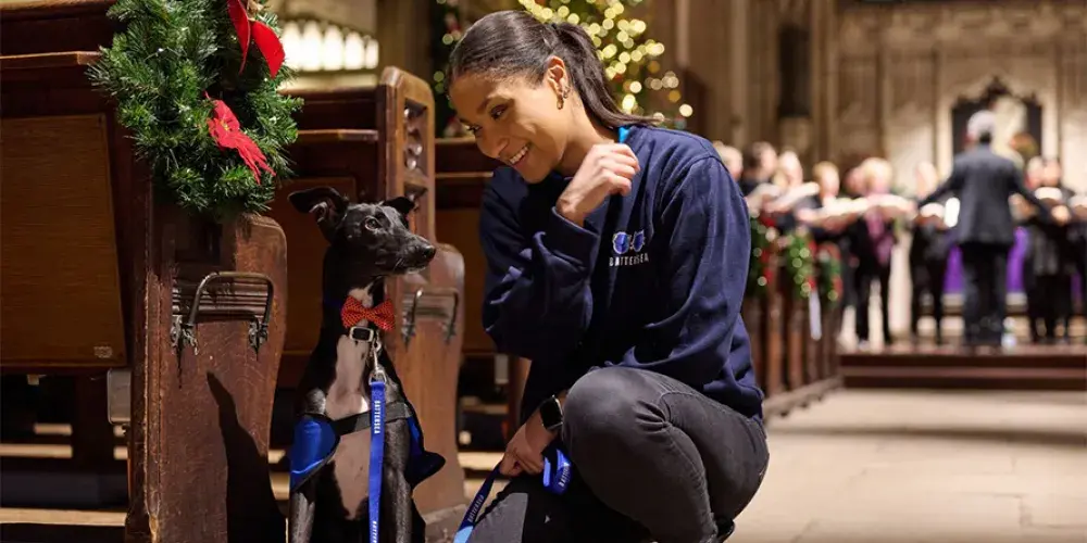 A woman looking at a dog
