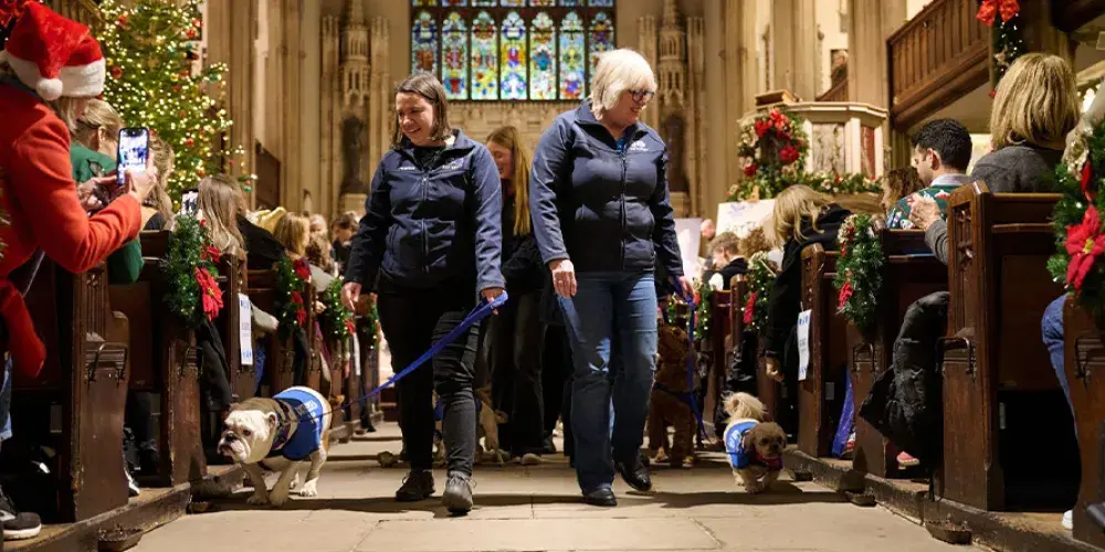 People walking down and aisle with dogs on lead